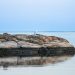 Serene landscape of a rocky shoreline and calm sea at twilight.