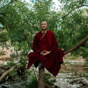 A monk in deep meditation, sitting peacefully on a tree in a tranquil forest by a river.