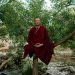 A monk in deep meditation, sitting peacefully on a tree in a tranquil forest by a river.