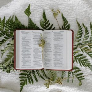 An open Bible displayed on a bedspread surrounded by fern leaves, symbolizing faith and nature.