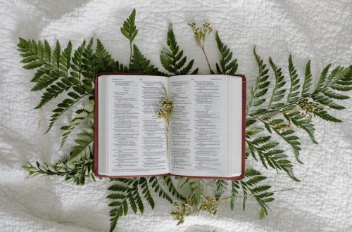 An open Bible displayed on a bedspread surrounded by fern leaves, symbolizing faith and nature.