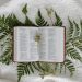 An open Bible displayed on a bedspread surrounded by fern leaves, symbolizing faith and nature.