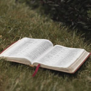 An open Bible rests on a lush grassy field in Hamilton, New Zealand, creating a serene and spiritual ambiance.