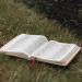 An open Bible rests on a lush grassy field in Hamilton, New Zealand, creating a serene and spiritual ambiance.