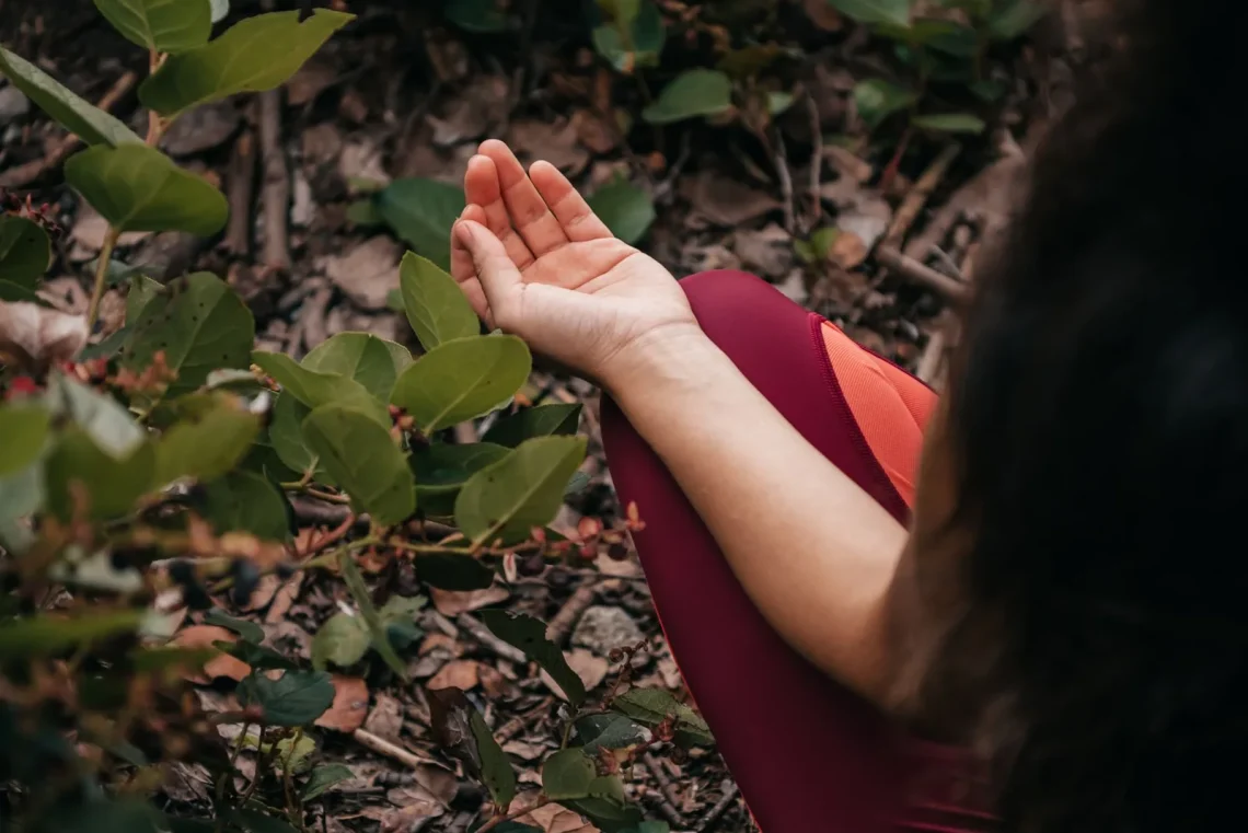 Pessoa meditando ao ar livre entre folhas verdes, simbolizando a prática de gratidão na meditação