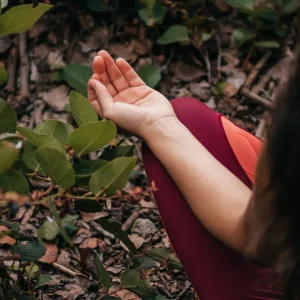 Pessoa meditando ao ar livre entre folhas verdes, simbolizando a prática de gratidão na meditação